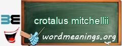 WordMeaning blackboard for crotalus mitchellii